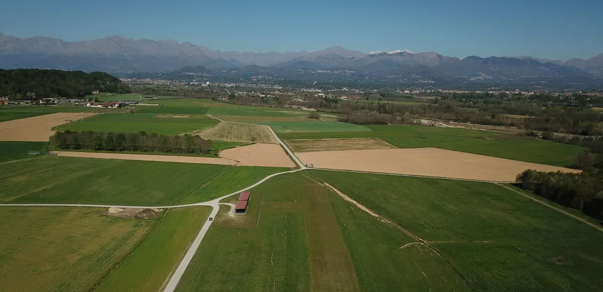 Il campo dall'alto, con le Alpi biellesi sullo sfondo