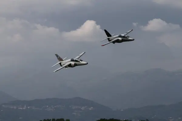 SIAI-Marchetti M-311